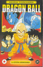Dragon Ball 29