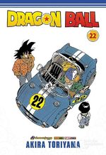 Dragon Ball 22