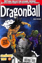 Dragon Ball 13