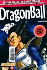 Dragon Ball 16