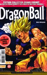 Dragon Ball 22