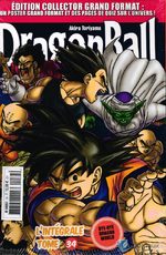 Dragon Ball 34
