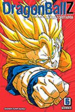 Dragon Ball 11