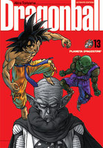 Dragon Ball 13
