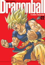 Dragon Ball 22