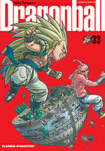 Dragon Ball 33