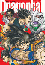 Dragon Ball 34