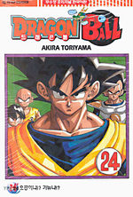 Dragon Ball 24