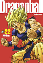 Dragon Ball 22