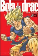 Dragon Ball 22