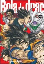 Dragon Ball 34