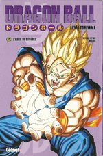 Dragon Ball 69