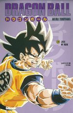 Dragon Ball 29