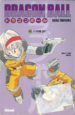 Dragon Ball 45