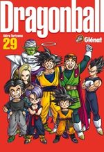 Dragon Ball 29