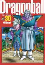 Dragon Ball 30