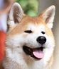 Avatar de elmino_o